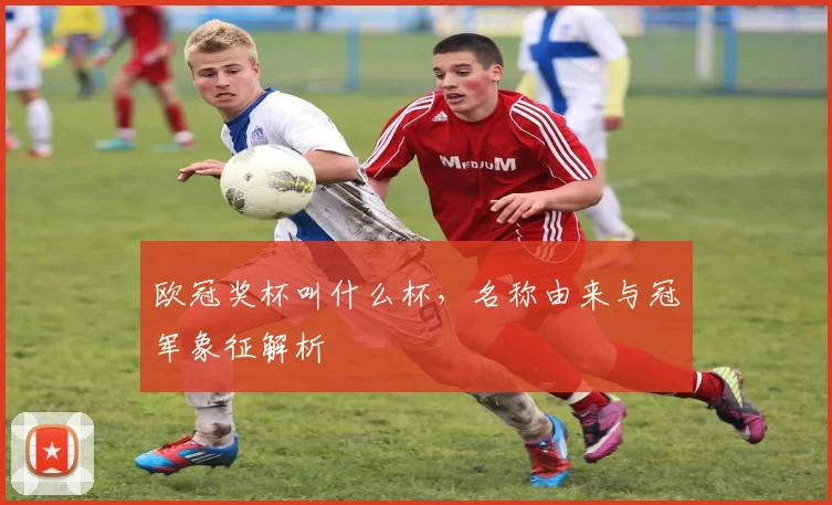 欧冠奖杯叫什么杯，名称由来与冠军象征解析