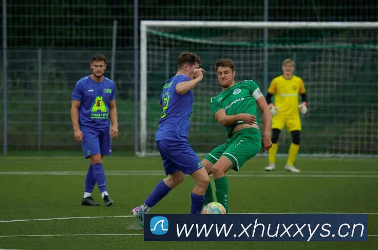 必一运动·(Bsports)官方网站平台生态图